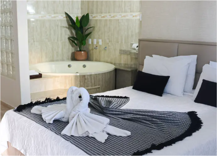 AnyConv.com__suite luxo